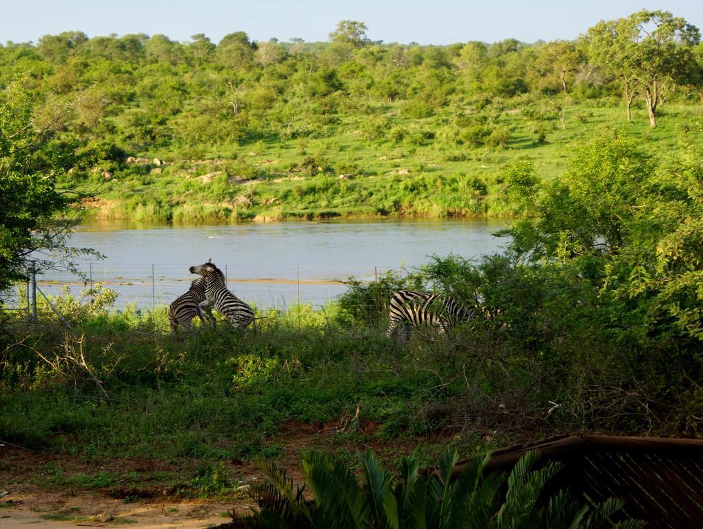 Tau @ Kruger Villa Marloth Park Kamer foto