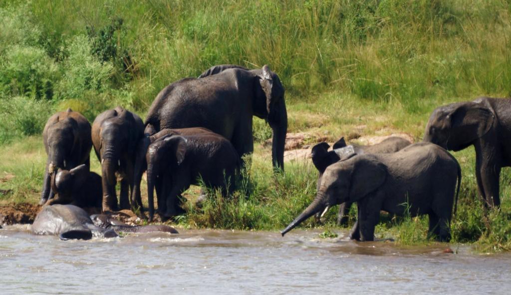 Tau @ Kruger Villa Marloth Park Kamer foto