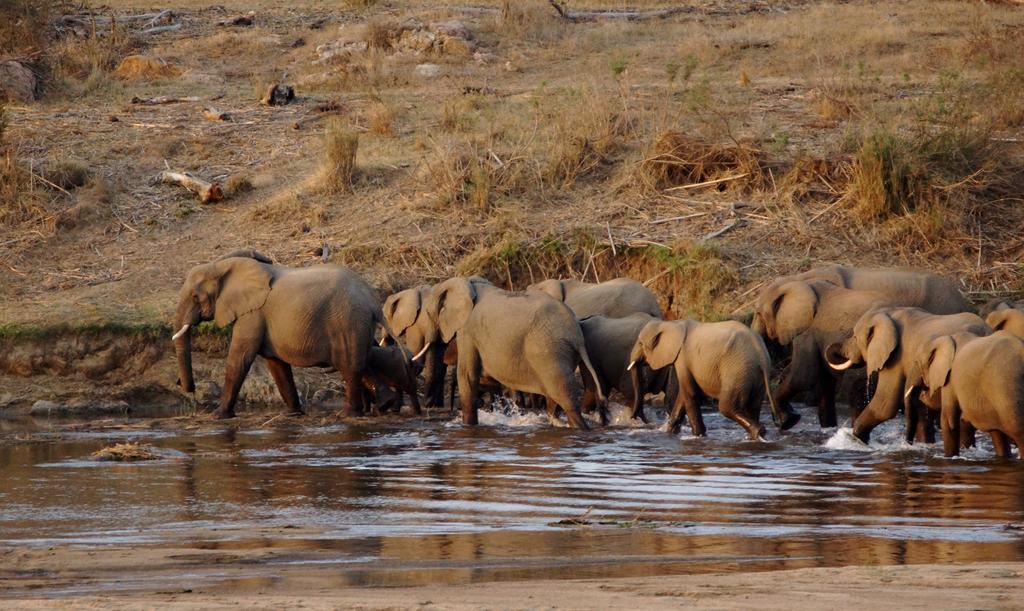 Tau @ Kruger Villa Marloth Park Kamer foto