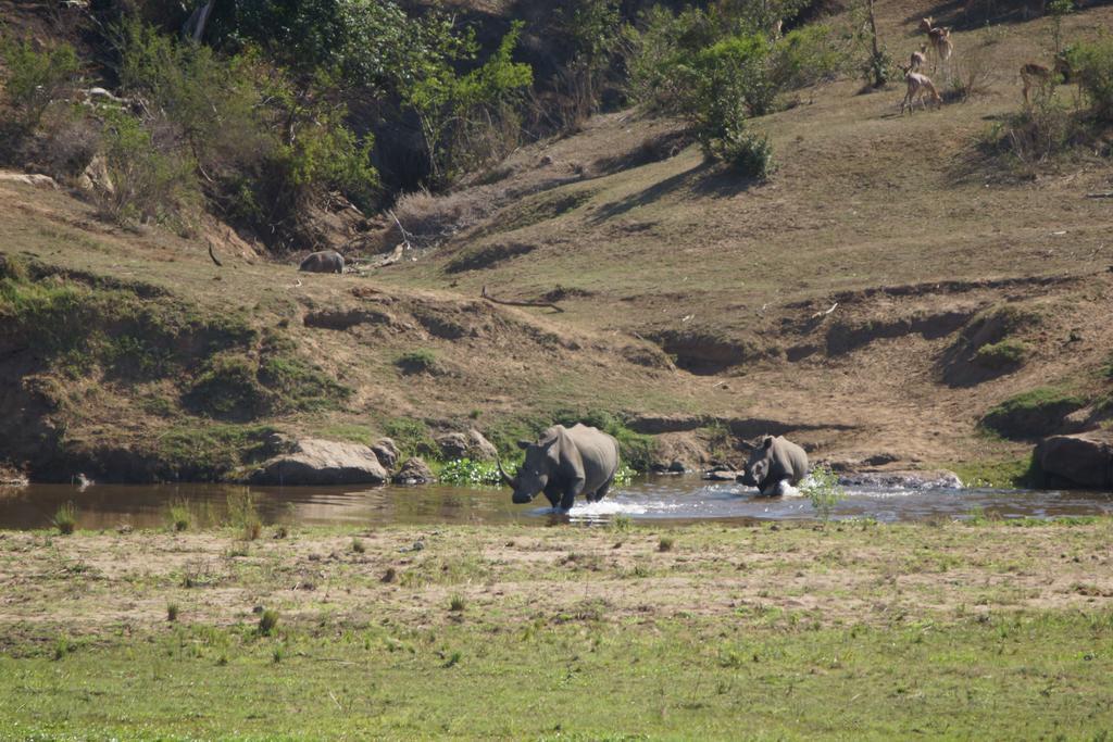Tau @ Kruger Villa Marloth Park Buitenkant foto