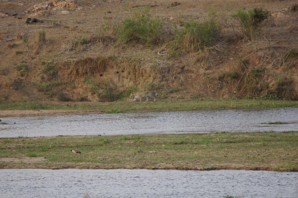 Tau @ Kruger Villa Marloth Park Buitenkant foto