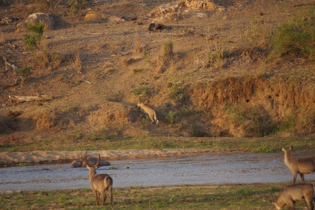 Tau @ Kruger Villa Marloth Park Buitenkant foto