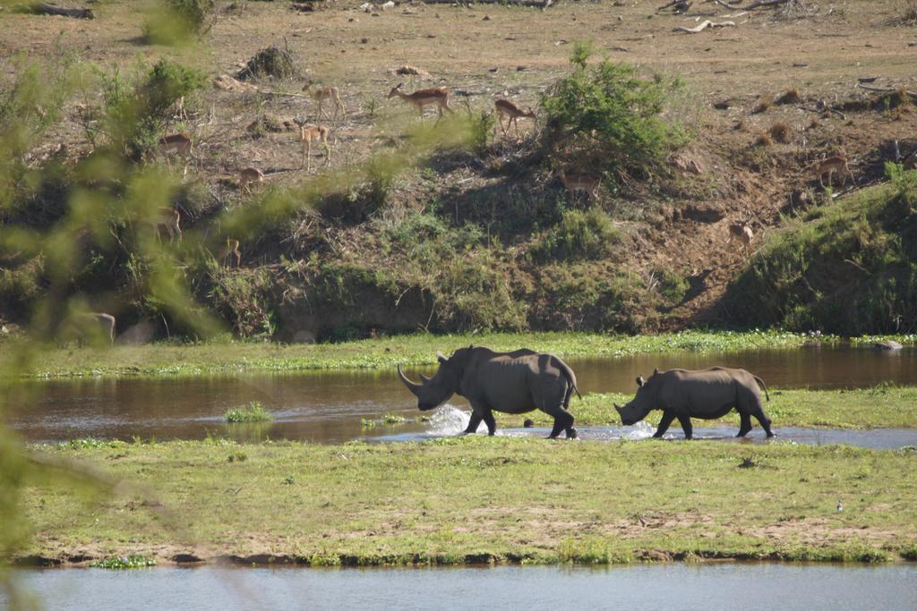 Tau @ Kruger Villa Marloth Park Buitenkant foto
